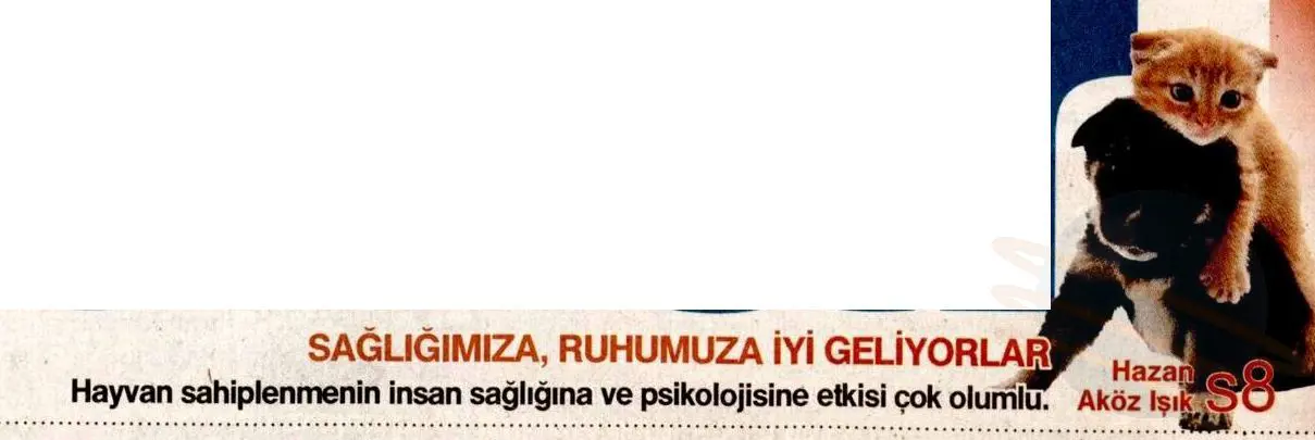 Hürriyet Pazar Sağliğimiza, Ruhumuza İyi Geliyorlar